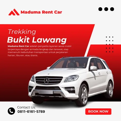Trekking Bukit Lawang