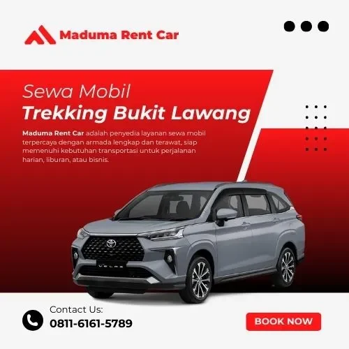 Sewa Mobil Trekking Bukit Lawang