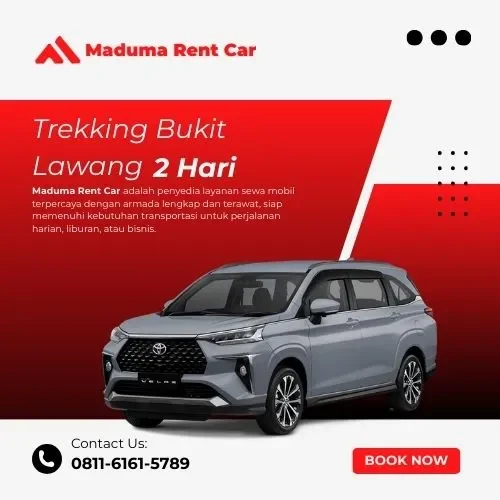 Trekking Bukit Lawang 2 hari