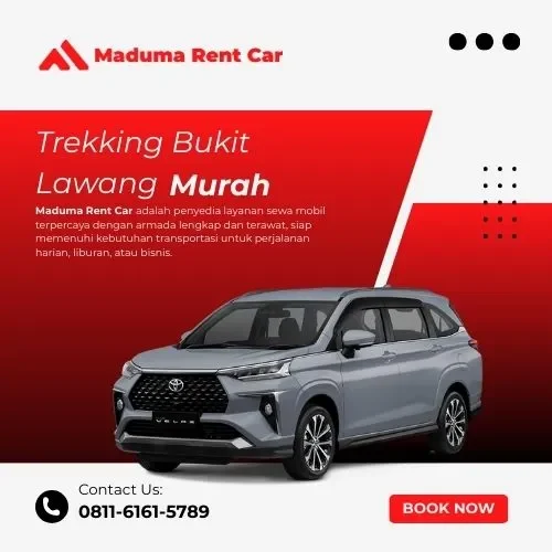 Trekking Bukit Lawang Murah